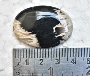 Cabujón de Ágata Natural de Raíz de Palma Indonesia, Gema de Alta Calidad, Formas y Tamaños Personalizados, Certificado para Grillz Dentales, Venta al por Mayor - Product Image 5