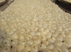 LONGAN-LONGAN de FROZEN, peeling - Product Image 3