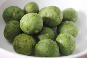 Dracontomelon Congelado Premium a Granel 2023 - Sra. Esther - Product Image 3