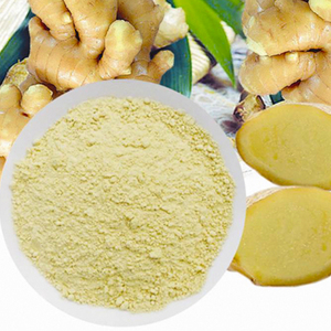Polvo de jengibre seco para medicina HERBAL y aplicación de belleza - Product Image 1