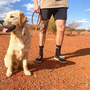 Classic Leather Dog <b>Leash</b> - Brown - Product Image 1