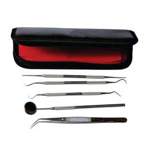 New Best Quality Disposable Examination Dental Care Instruments Kits - Product Image 4