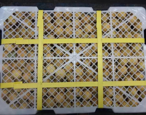 ลำไยแช่แข็งแบบ IQF ทั้งลูกและปอกเปลือก ผลิตภัณฑ์เกษตร ลำไยแช่แข็งทั้งลูก - Product Image 6