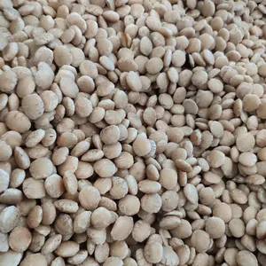 Высококачественные орехи Plukenetia Volubilis Sacha Inchi Bazan Viet Nam жареные семена Sacha Inchi + 84947900124