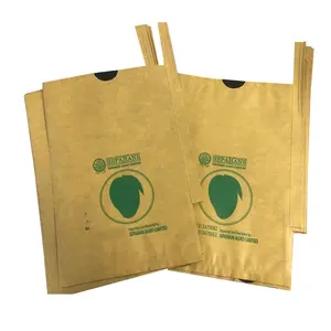 厂家供应批发孟加拉水果纸袋芒果生长袋水果保护生长袋
