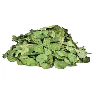 [HOT SALE] CHEAP PRICE DRIED MORINGA LEAVES 100% natural with HIGH QUALITY/Wholesale Moringa Oleifera leaf from Vietnam