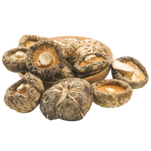 Dried Shiitake <b>Mushrooms</b> Are Good for Health-Eco-Friendly Shiitake <b>Mushroom</b>-Ivy HH+84977157110 - Product Image 2
