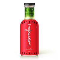 Beste Kwaliteit Watermeloen Sap Puree Snelle Levering Oem Groothandel Leverancier Verpakt In Fles Fruit & Groentesap