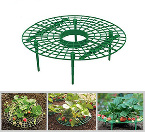 <span class=keywords><strong>Support</strong></span> pour fraises 1 pc, maintien des fruits rehaussé pour éviter les carottes mouillés, avec plateau - Product Image 2