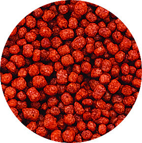 PRO'S CHOICE Taiwan 35g Alimento Ecológico con 37% de Proteína Cruda para Peces Betta, Gran Venta - Product Image 5