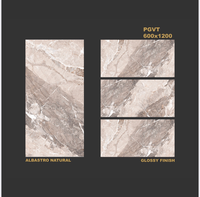 Design moderne 600x1200mm Carreaux de sol en ciment poli Couleurs vives personnalisées pour les murs intérieurs de villas de luxe Finition mate