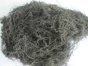 Algues Gracilaria séchées aromatisées et assaisonnées Bag-Hana par Viet Delta - Product Image 2