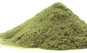 Proveedor Gotu Kola en polvo/Pennywort asiático de Vietnam - Product Image 4