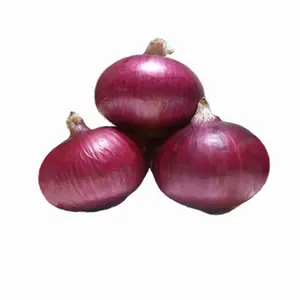 Cheap fresh onions red onion