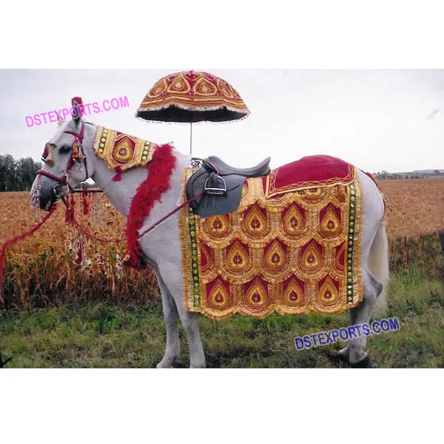 भारतीय शादी घोड़ा सजावट पारंपरिक शादी घोड़ा संगठन नवीनतम डिजाइन Ghodi पहनने के निर्माताओं