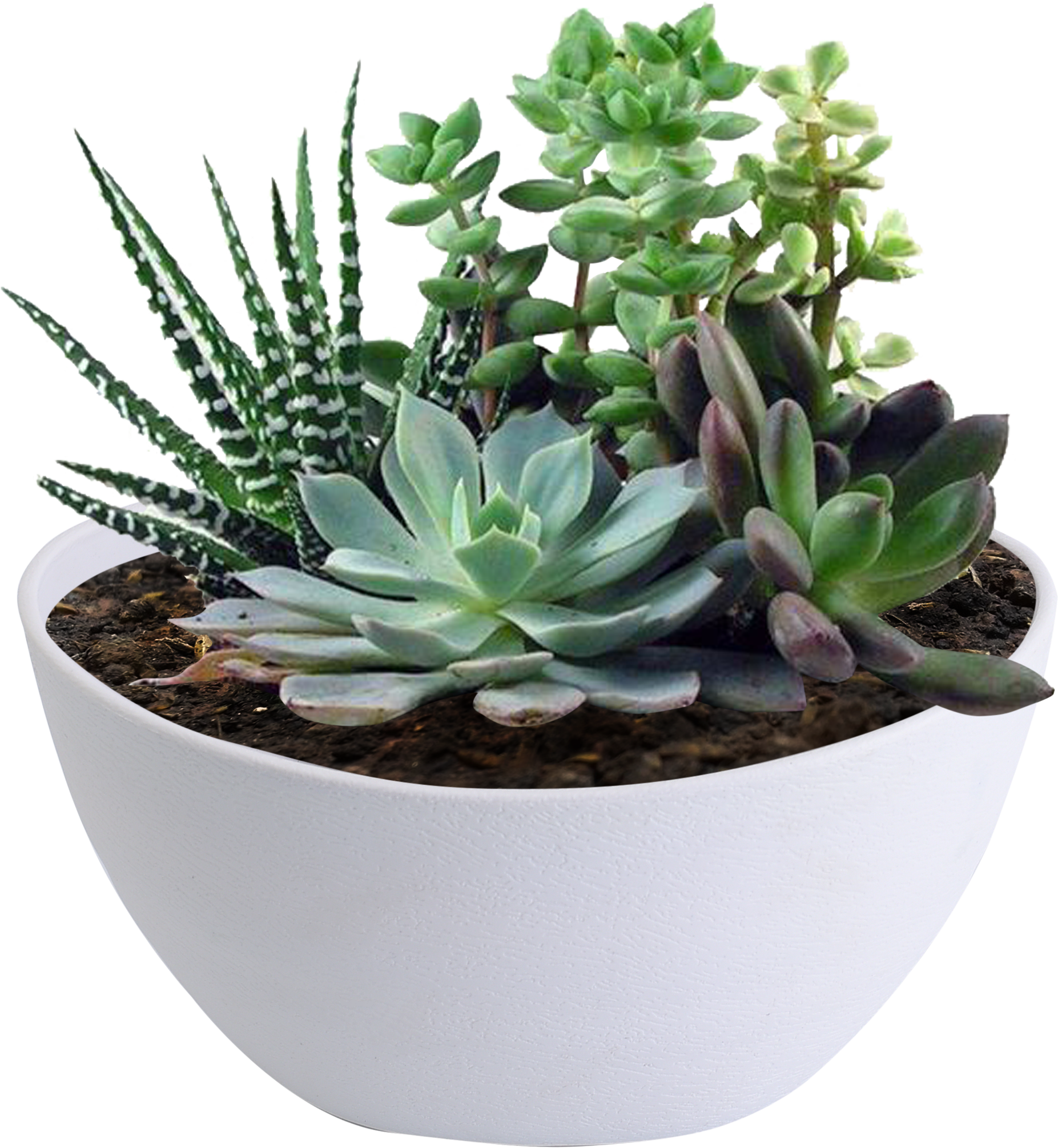 CHEAP Plastic Wall Mounted Flower Pots Plant Pots Ceramic Style Wall Hanging Planter for Home & Garden Decoration from Vietnam