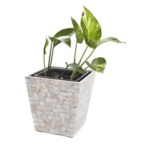 Maceta con incrustaciones de hueso, florero de forma cuadrada para el hogar, tamaño personalizado decorativo para maceta de jardín, superventas - Product Image 5