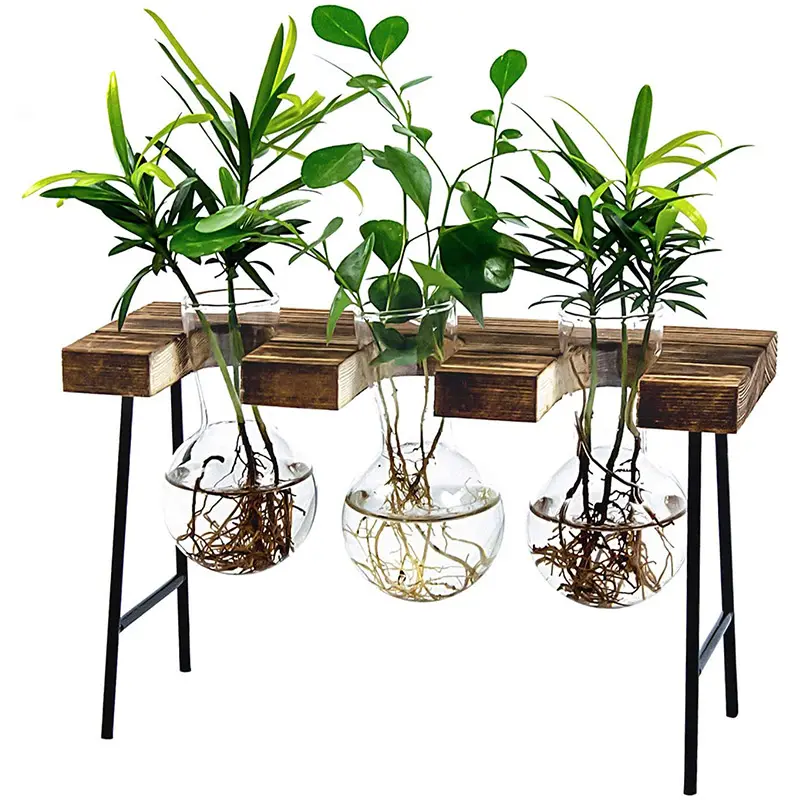 Air Plant Terrarium, Desktop Glass Planter Bulb Glass Vase with Wooden Stand Propagation Station for Hydroponics Plants