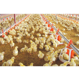 Modern çiftlik barakası kümes hayvanları tavuk tabakası yumurta hayvan kafesleri tavuk kümesi - Product Image 5