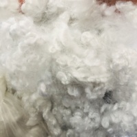 Fibre discontinue HCS PSF en silicone conjugué creux recyclé 7D/15D pour le filage, le béton, les retardants de flamme, les tissus non tissés du Vietnam