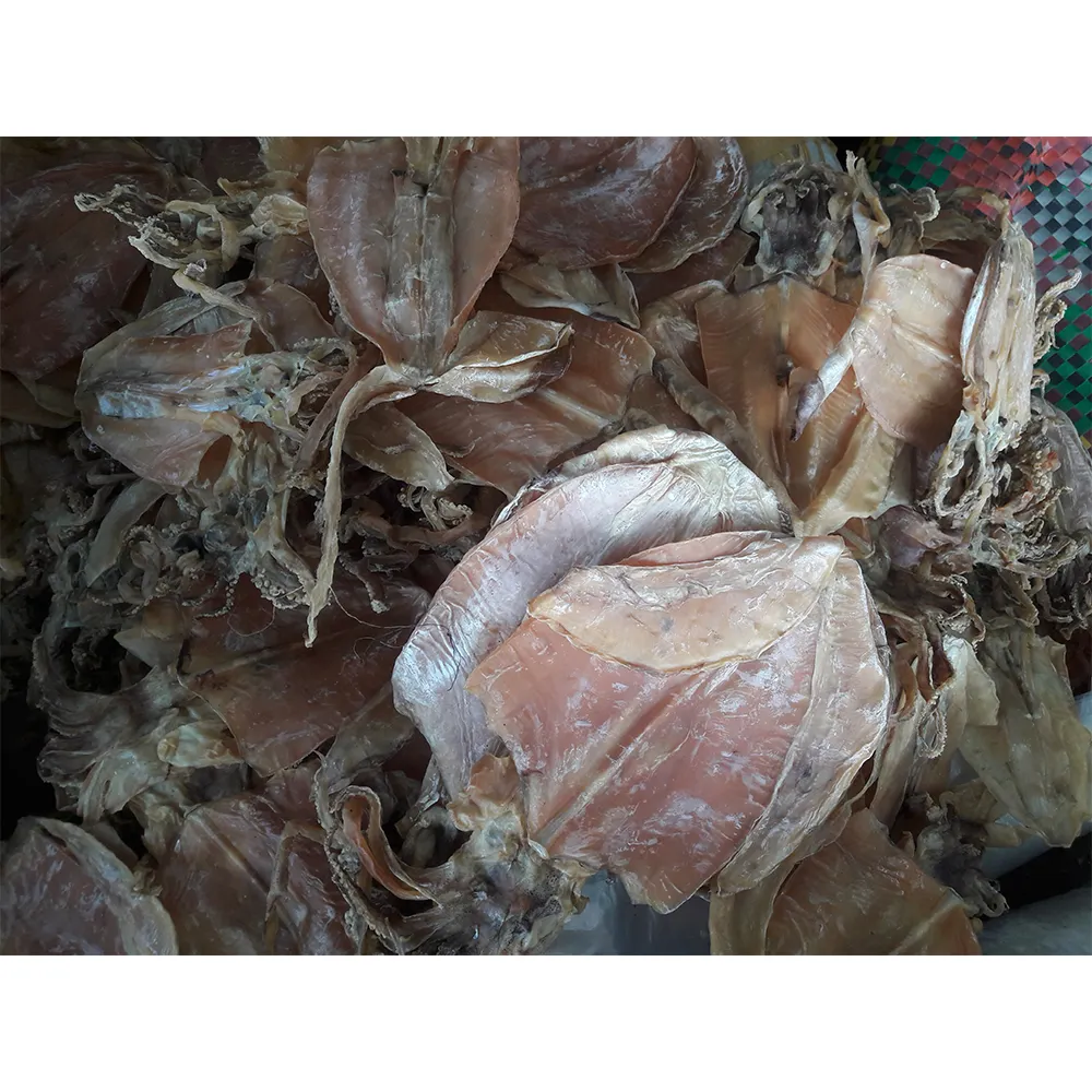 गर्म सौदा! सामान्य सूखे व्यंग्य (8-45 pieces/kg) से वियतनाम | सूखे व्यंग्य | सस्ते कीमत | Cuttlefish
