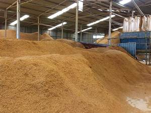 Briquette de balle de riz très bon marché - Cendres de balle de riz - Product Image 4