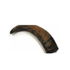 100% véritable corne décorative pour la maison et les hôtels meilleur cadeau pour les fêtes corne décorative de buffle et vente personnalisée - Product Image 5