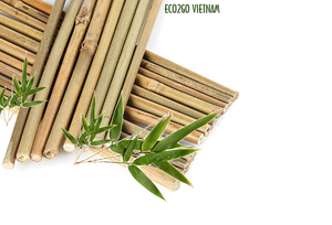 Palo de bambú vietnamita al por mayor para jardín/Flor de palo de bambú que admite alta calidad y materia prima para usar en el jardín - Product Image 5