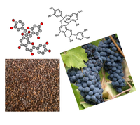 Graines de raisin biologique de mars 8% frais et humides