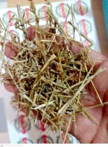 Shankhpushpi-Convolvulus plulisenica-seluruh tanaman (Panchang) ekstrak Herbal 99% kemurnian kelas atas Premium ISO bersertifikat-Calms - Product Image 6