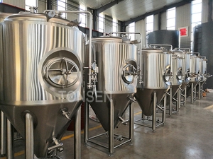 Tonsen Offre Spéciale unitanks bière réservoirs <span class=keywords><strong>de</strong></span> fermentation cuve <span class=keywords><strong>de</strong></span> fermentation avec pas cher <span class=keywords><strong>prix</strong></span> - Product Image 2