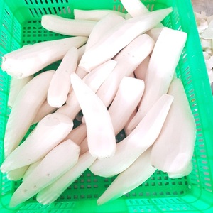 Procesamiento crudo y seco de bloque pelado sin piel de verduras de yuca congelada IQF de calidad de Vietnam para la humanidad - Product Image 2