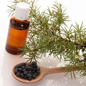 100% Pure Natural Juniper Berry Oil mayorista/fabricante/proveedor a granel para embalaje privado (etiquetado) y logotipo personalizado - Product Image 3