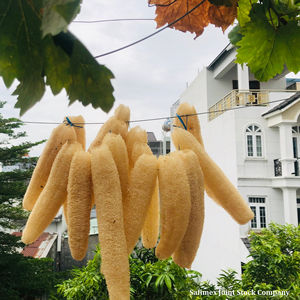 RAW MATERIAL LOOFAH <b>SPONGES</b> CHEAP PRICE FROM VIETNAM/ORGANIC LOOFAH WITH COMPETITIVE PRICE for SKIN <b>EXFOLIATING</b> - Product Image 5