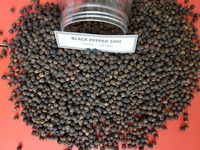 Zwarte peper 1000kg Gedroogd ISO gecertificeerd Premium Kwaliteit Vietnamese Fabrikant AGRIKIM Lage Prijs 1 Ton MOQ +84 368591192