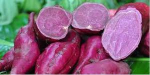 Patate douce violette fraîche - Product Image 6