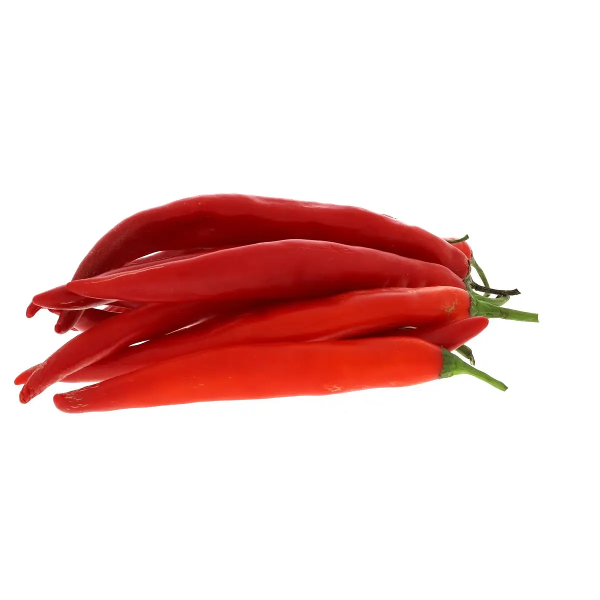 2022 Hot Sales Wettbewerbs fähiger Preis & hochwertige Vietnam Fresh Red Chili