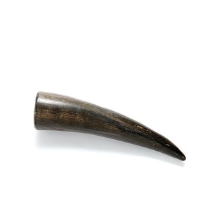 Pointe noire en corne à vendre Pointe en corne de buffle en vrac Corne noire et personnalisée pour produit chaud - Product Image 5