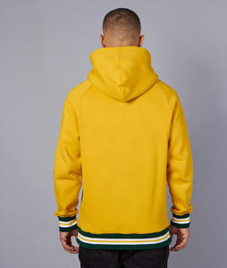 OEM broderie imprimée à manches longues sweat à capuche automne et hiver personnalisé mens grande taille sport logo personnalisé - Product Image 2