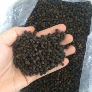 พริกไทยดำเวียดนามขายดี 500 กรัม เกรด ASTA คุณภาพพรีเมียม คัดแยกด้วยเครื่องจักร พริกไทยธรรมชาติ สำหรับส่งออกขายส่ง - Product Image 4