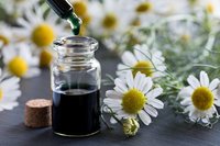 Meilleure Huile Essentielle Pure de Camomille Allemande Distillée à la Vapeur Revitalisant Cutané Fournisseur Népalais Vente en Gros Certifié GMP AARNAV GLOBAL