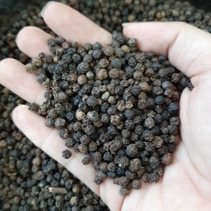 Pimienta negra al por mayor al mejor precio seca cruda caliente picante exportación cosecha 2021 50kg Vietnam-Lisa + 84798889335 - Product Image 1