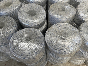 Cuerda de Polipropileno (PP) Trenzada de 4 Hilos, Danline, para Embalaje Marino, Resistente a los Rayos UV, Diámetro Personalizable de 3-30 mm, Longitud de 0-1000 m - Product Image 2