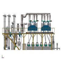 Fraiseuse de maïs, ligne complète de Production de farine de maïs, haute efficacité, 30 tonnes par jour