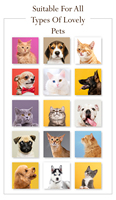 Produits de bain écologiques pour animaux de compagnie avec un parfum frais pour chiens et chats Sans alcool ni colorant 100 ml