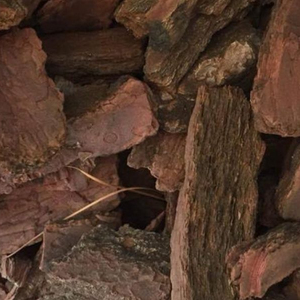 2021 Écorce de pin Offre Spéciale du Vietnam - Product Image 1