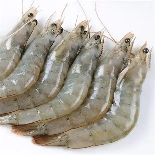 Venta fresco congelado todo Vannamei camarón blanco y camarón tigre negro gambas