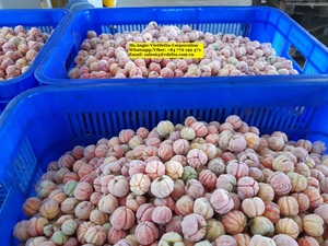 Acerola surgelée IQF de qualité supérieure en provenance du Vietnam/MS LAURA +84 896611913 - Product Image 3