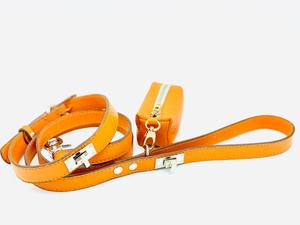 Harnais, laisse et collier pour chien - Product Image 5