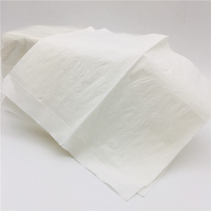 Serviettes blanches interpliées 2 plis 15 g/m² 20x16,5 cm 250 feuilles par paquet 24 paquets par carton - Product Image 6